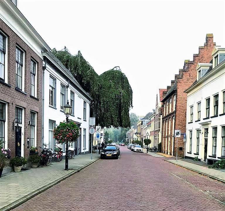 De Buurvrouw Nr.18 Bed and Breakfast Doesburg Εξωτερικό φωτογραφία